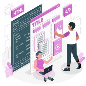 Rapid Website Development